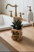 A small potted succulent in a light wood crate planter made from pallet wood with 'hello cute!' printed on the front, placed on a white countertop in front of a stainless steel appliance.