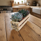 A small wooden planter box made from pallet wood with the words 'hello cutie!' printed on the front, holding three succulent plants, set on a light wood tabletop against a plain light gray wall.