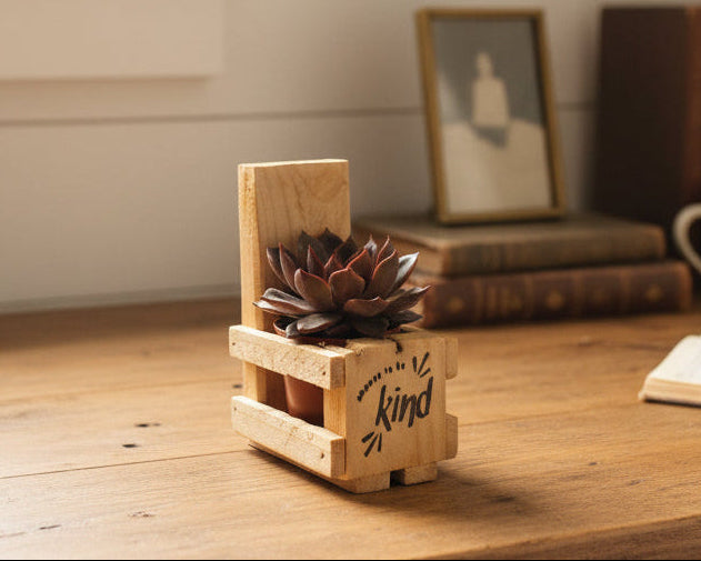 A small potted succulent plant in a rustic wooden crate planter made from pallet wood with the word 'Succulent' engraved on the side, set against a plain white background.