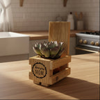 A small potted succulent plant in a rustic wooden crate planter, isolated on a solid white background.