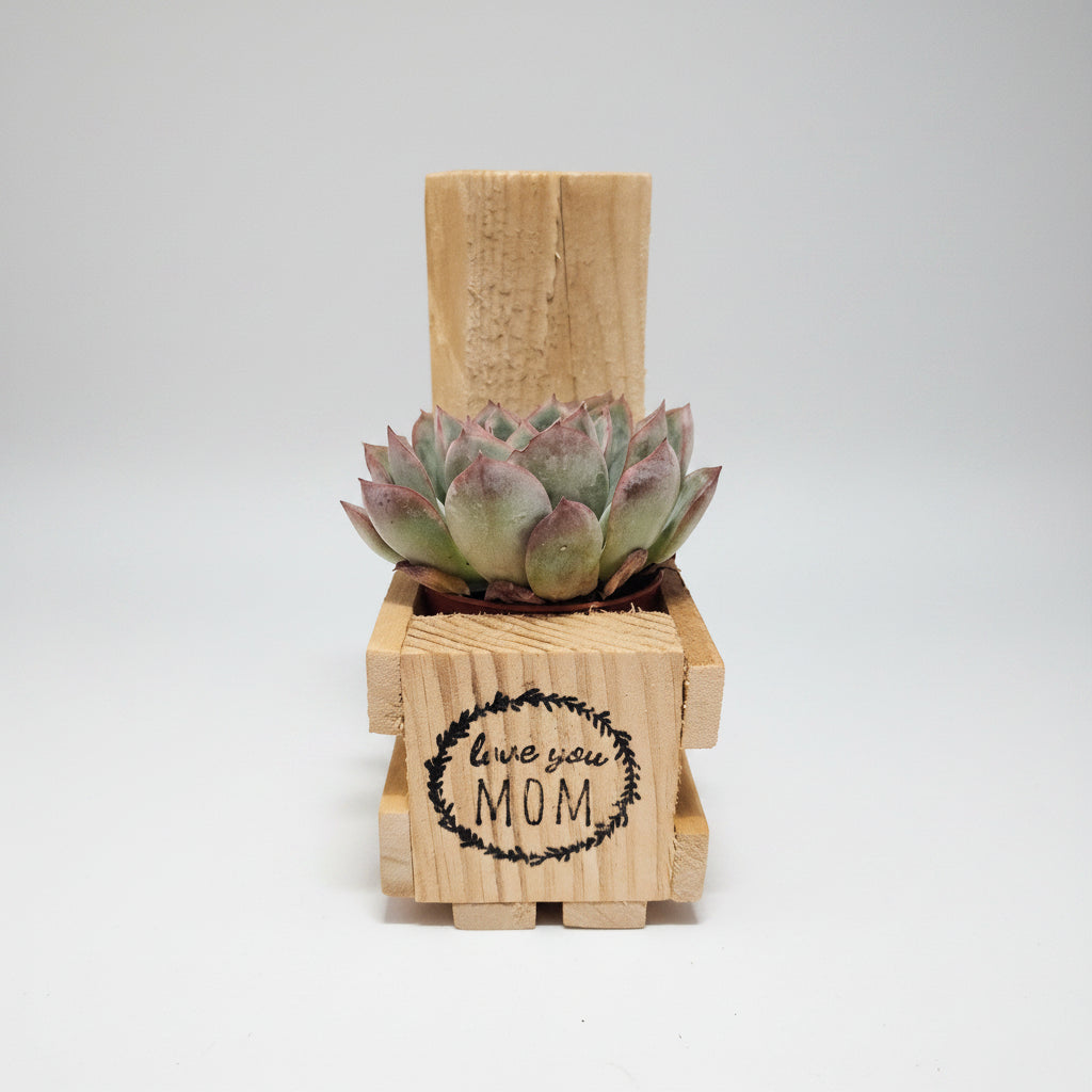 A small succulent plant in a light natural wood block planter with a rectangular wooden base. The front wooden block is printed with a black circular wreath design and the words 'Love you MOM'.