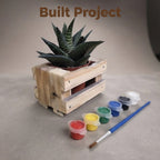 A small potted succulent in a wooden crate planter, shown with a paint palette, paint cups, and a paintbrush on a neutral studio background.