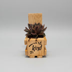 A wooden crate made from pallet wood with a succulent plant, featuring a light natural wood band engraved with the words "Choose to be Kind"