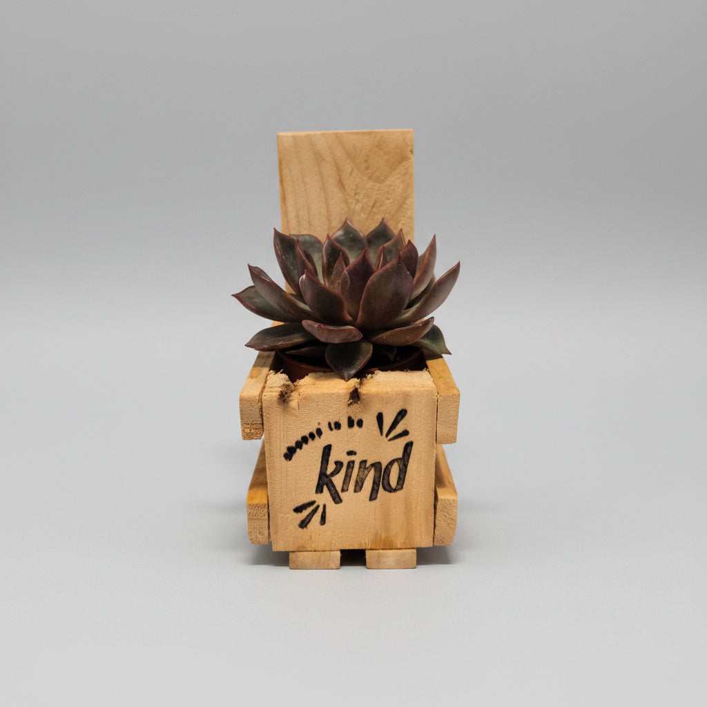 A wooden crate made from pallet wood with a succulent plant, featuring a light natural wood band engraved with the words "Choose to be Kind"